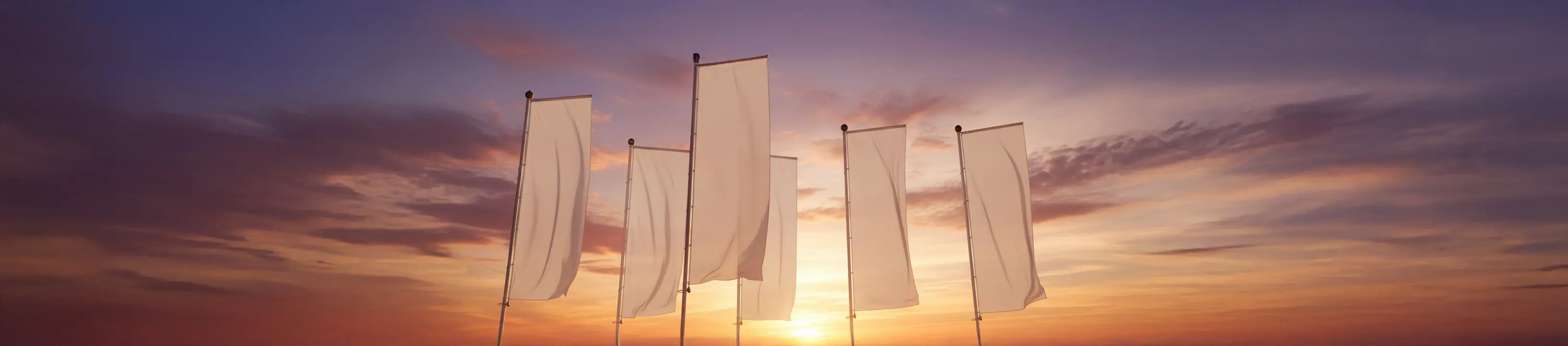 Kategorie Werbefahne Hero