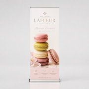 Roll-Up Display Expo Double